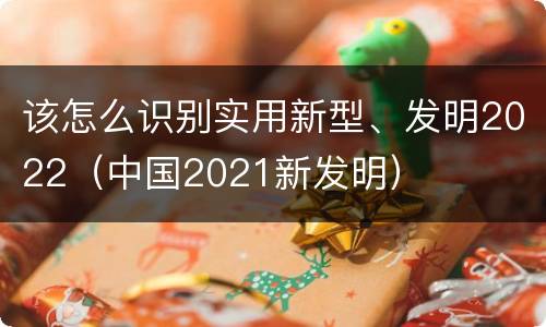 该怎么识别实用新型、发明2022（中国2021新发明）