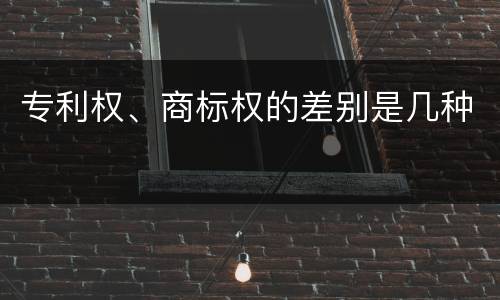 专利权、商标权的差别是几种