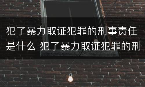 犯了暴力取证犯罪的刑事责任是什么 犯了暴力取证犯罪的刑事责任是什么意思