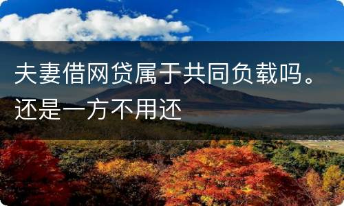 夫妻借网贷属于共同负载吗。还是一方不用还
