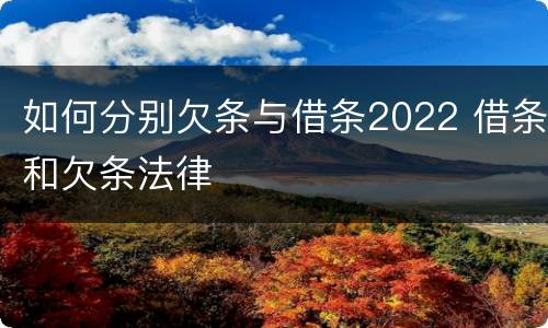 如何分别欠条与借条2022 借条和欠条法律