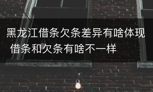 黑龙江借条欠条差异有啥体现 借条和欠条有啥不一样