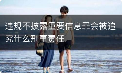 违规不披露重要信息罪会被追究什么刑事责任
