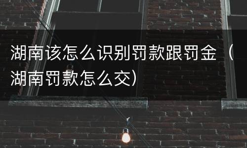 湖南该怎么识别罚款跟罚金（湖南罚款怎么交）