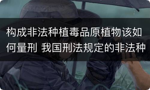 构成非法种植毒品原植物该如何量刑 我国刑法规定的非法种植毒品原植物罪