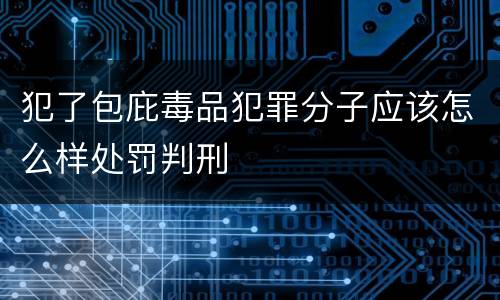 犯了包庇毒品犯罪分子应该怎么样处罚判刑