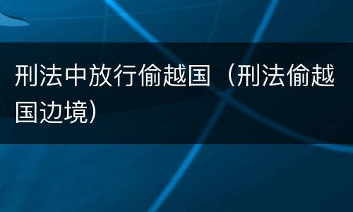 刑法中放行偷越国（刑法偷越国边境）
