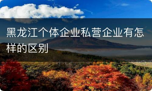 黑龙江个体企业私营企业有怎样的区别