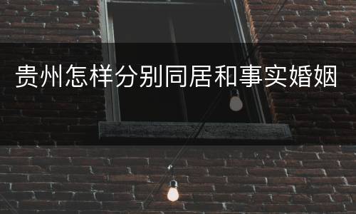 贵州怎样分别同居和事实婚姻