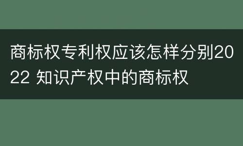 商标权专利权应该怎样分别2022 知识产权中的商标权