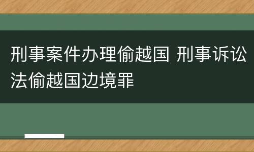 刑事案件办理偷越国 刑事诉讼法偷越国边境罪