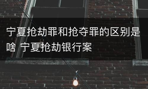 宁夏抢劫罪和抢夺罪的区别是啥 宁夏抢劫银行案