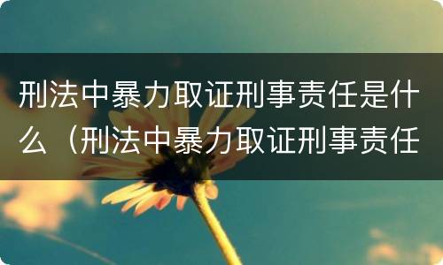 刑法中暴力取证刑事责任是什么（刑法中暴力取证刑事责任是什么意思）