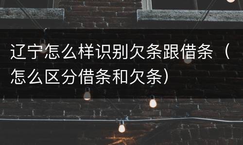辽宁怎么样识别欠条跟借条（怎么区分借条和欠条）