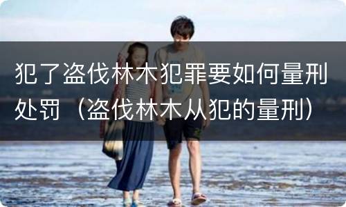 犯了盗伐林木犯罪要如何量刑处罚（盗伐林木从犯的量刑）