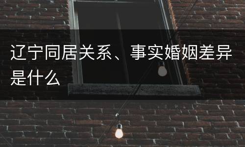 辽宁同居关系、事实婚姻差异是什么