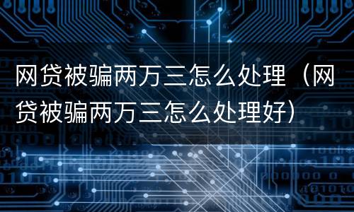 网贷被骗两万三怎么处理（网贷被骗两万三怎么处理好）