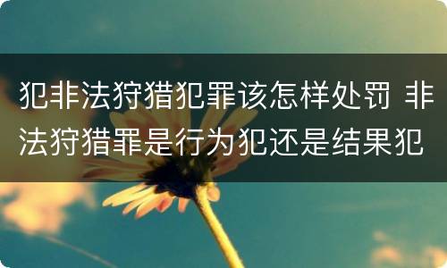 犯非法狩猎犯罪该怎样处罚 非法狩猎罪是行为犯还是结果犯