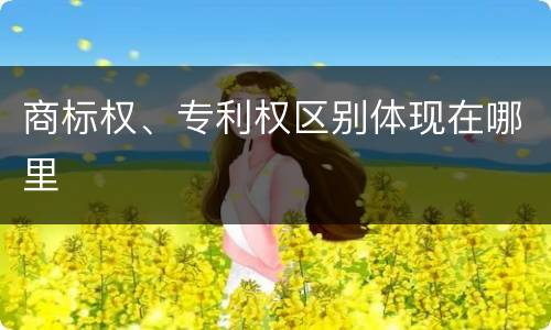 商标权、专利权区别体现在哪里