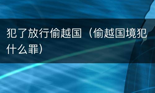 犯了放行偷越国（偷越国境犯什么罪）
