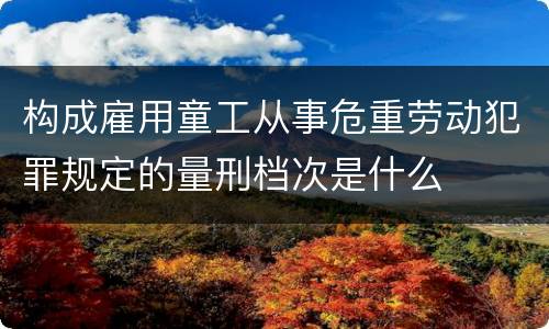 构成雇用童工从事危重劳动犯罪规定的量刑档次是什么