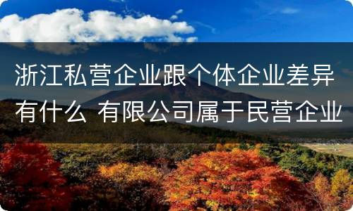 浙江私营企业跟个体企业差异有什么 有限公司属于民营企业还是私企还是个体