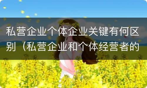 私营企业个体企业关键有何区别（私营企业和个体经营者的区别）
