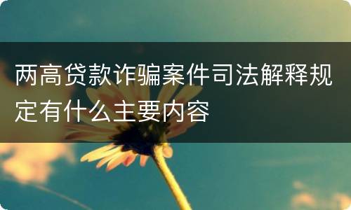两高贷款诈骗案件司法解释规定有什么主要内容