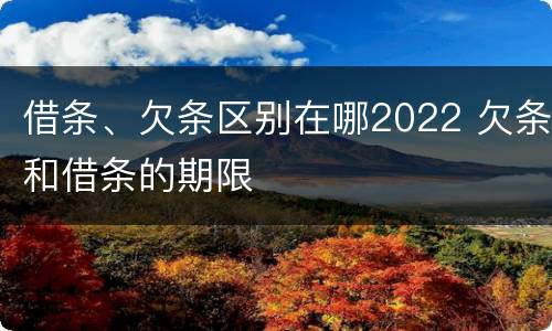 借条、欠条区别在哪2022 欠条和借条的期限