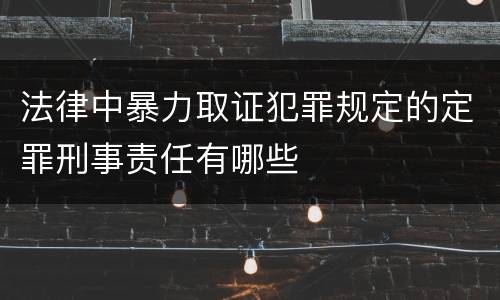 法律中暴力取证犯罪规定的定罪刑事责任有哪些