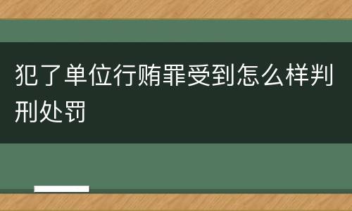 犯了单位行贿罪受到怎么样判刑处罚