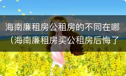 海南廉租房公租房的不同在哪（海南廉租房买公租房后悔了）