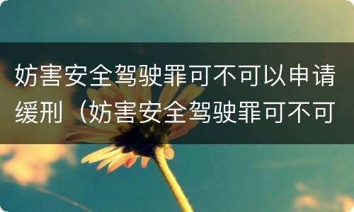 妨害安全驾驶罪可不可以申请缓刑（妨害安全驾驶罪可不可以申请缓刑执行）