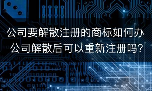 公司要解散注册的商标如何办 公司解散后可以重新注册吗?