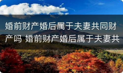 婚前财产婚后属于夫妻共同财产吗 婚前财产婚后属于夫妻共同财产吗ba