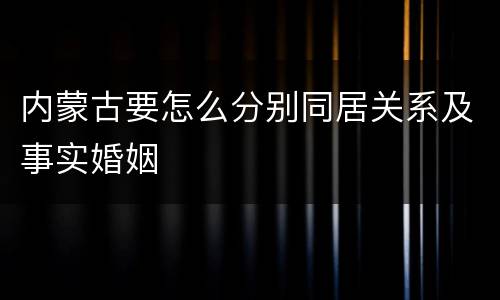 内蒙古要怎么分别同居关系及事实婚姻