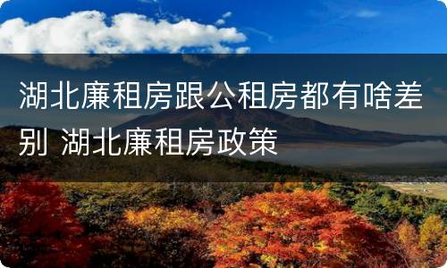 湖北廉租房跟公租房都有啥差别 湖北廉租房政策