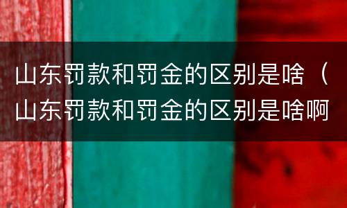 山东罚款和罚金的区别是啥（山东罚款和罚金的区别是啥啊）