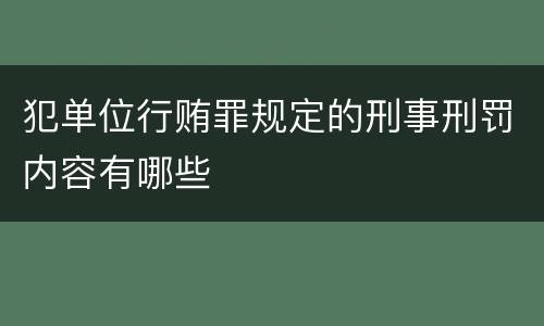 犯单位行贿罪规定的刑事刑罚内容有哪些