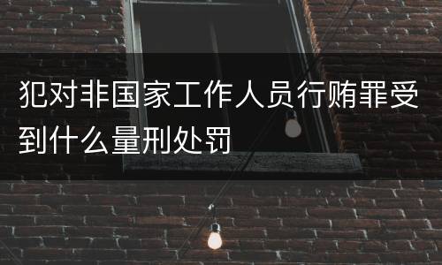 犯对非国家工作人员行贿罪受到什么量刑处罚