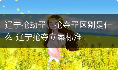 辽宁抢劫罪、抢夺罪区别是什么 辽宁抢夺立案标准