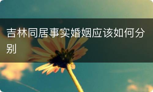 吉林同居事实婚姻应该如何分别