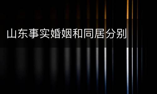 山东事实婚姻和同居分别