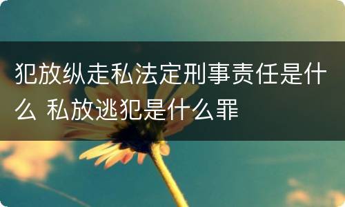 犯放纵走私法定刑事责任是什么 私放逃犯是什么罪