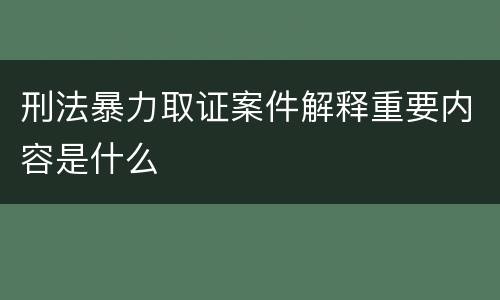 刑法暴力取证案件解释重要内容是什么