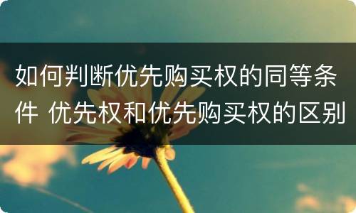 如何判断优先购买权的同等条件 优先权和优先购买权的区别