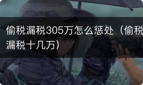 偷税漏税305万怎么惩处（偷税漏税十几万）
