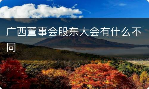 广西董事会股东大会有什么不同