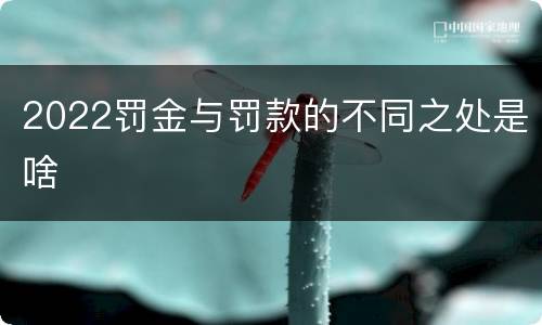 2022罚金与罚款的不同之处是啥