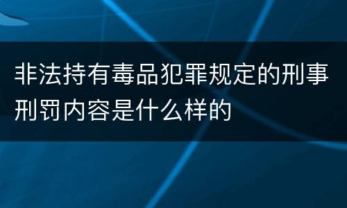 非法持有毒品犯罪规定的刑事刑罚内容是什么样的